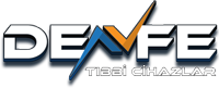 DENFE logo